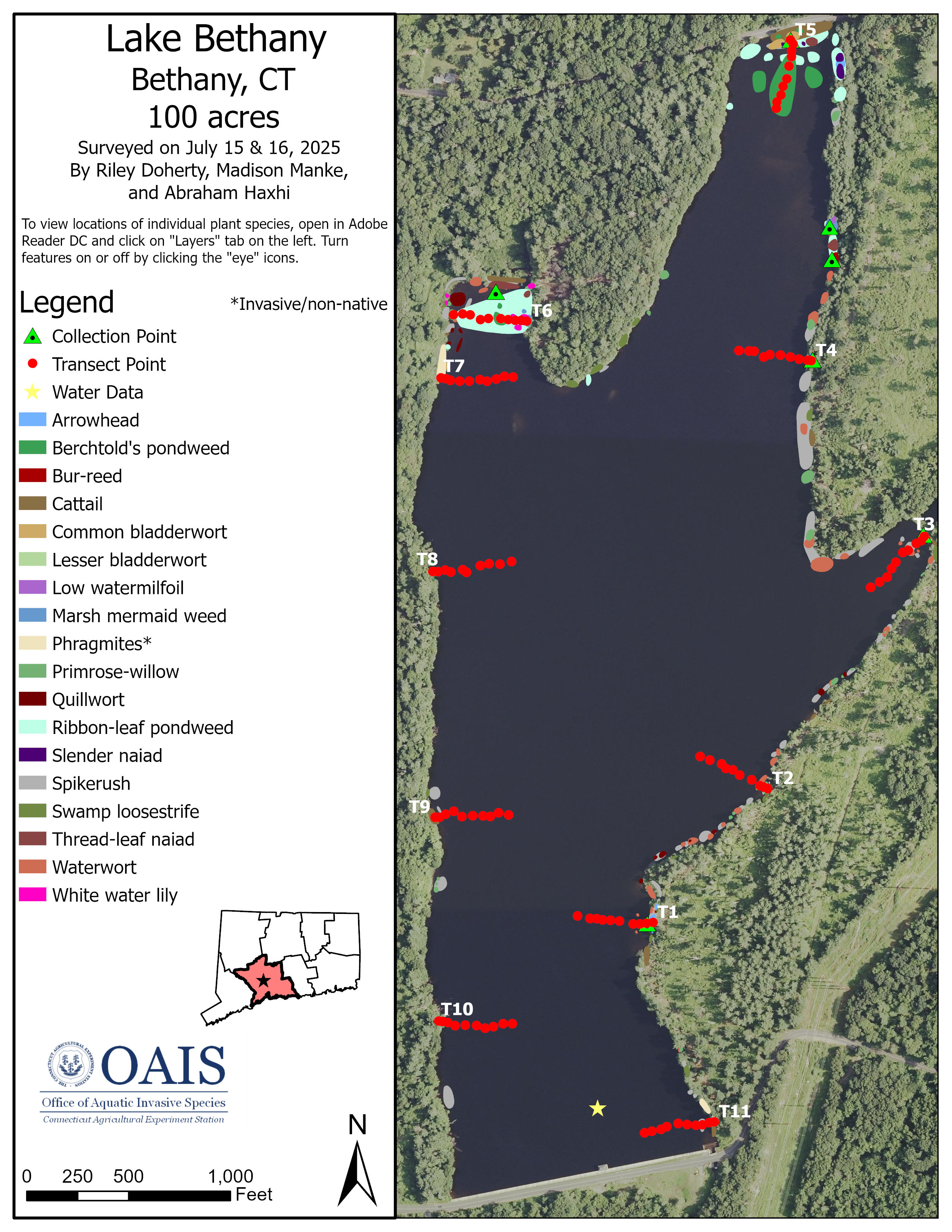 Map of aquatic plant species in Bethany Lake documented during the 2025 survey.