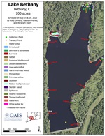 Map of aquatic plant species in Bethany Lake documented during the 2025 survey.