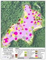 Aquatic plant survey map of Buckley Pond in Union, CT