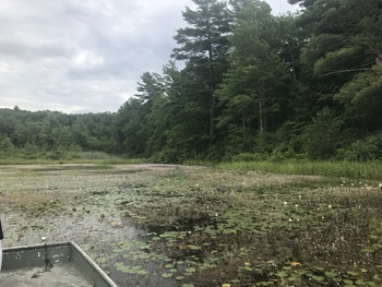 Buckley Pond in Union, CT