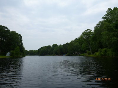 Bushy Pond 2019