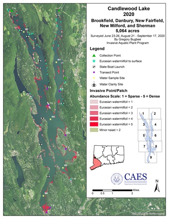 2020 Invasive Aquatic Plant Survey Map of Candlewood Lake