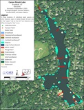 2021 aquatic plant survey map of Canoe Brook Lake in Trumbull, CT.