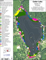 Aquatic plant survey map of Cedar Lake.