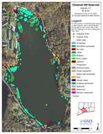 Aquatic plant survey map of Chestnut Hill Reservoir. The background is natural color imagery of the reservoir. Different plant species have different colored polygons around the reservoir marking their locations.