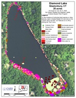 2020 aquatic plant survey map of Diamond Lake, Glastonbury