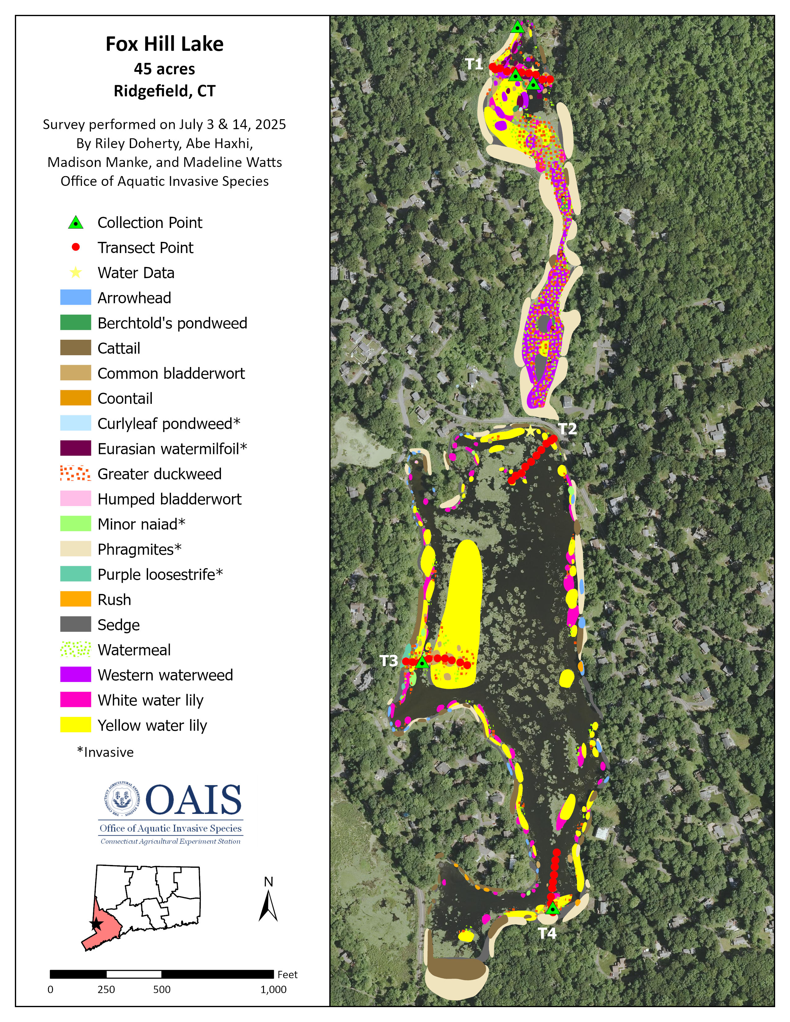 Map of all aquatic plant species in upper and lower Fox Hill Lake in 2025.