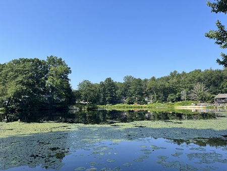 Image of Lower Guilford Lake durig 2023 survey.