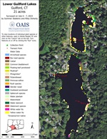 Aquatic vegetation survey map of Lower Guilford Lakes in 2023.