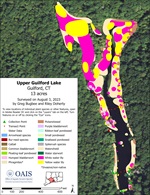 Aquatic vegtation map of Upper Guilford Lake in 2023.