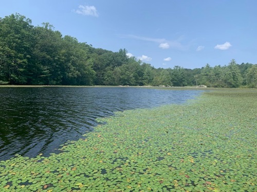Photo of Upper Guilford Lake on August 3, 2023.