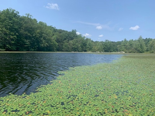 Photo of Upper Guilford Lake on August 3, 2023.