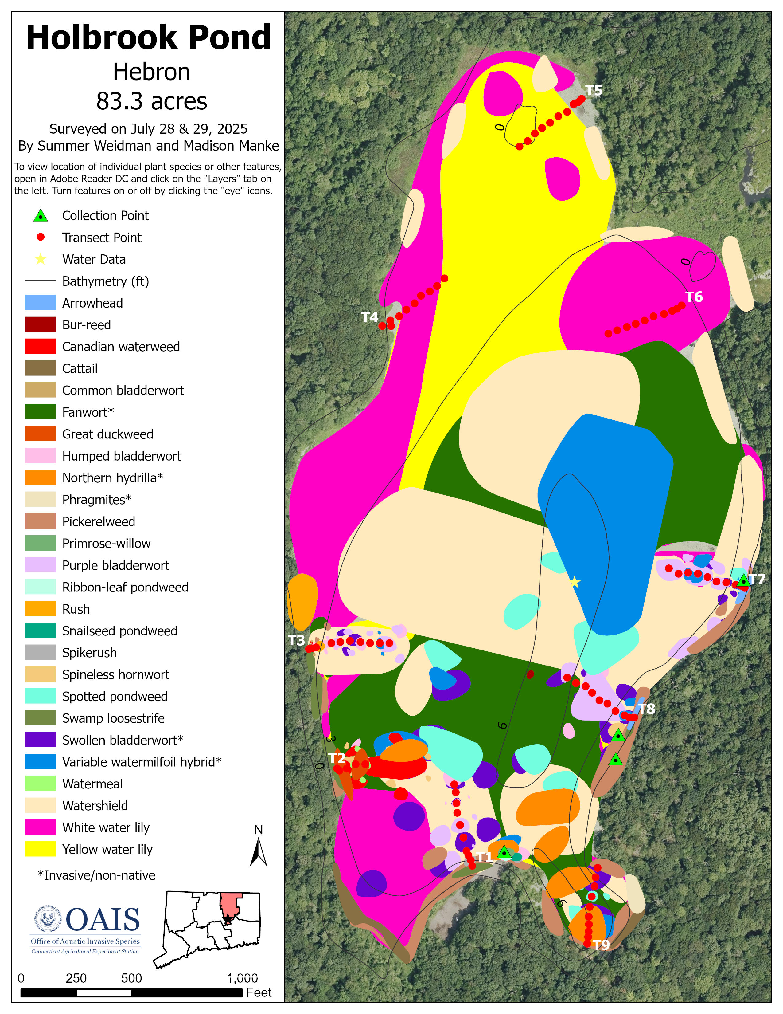 Map of aquatic vegetation documented during the 2025 survey of Holbrook Pond.