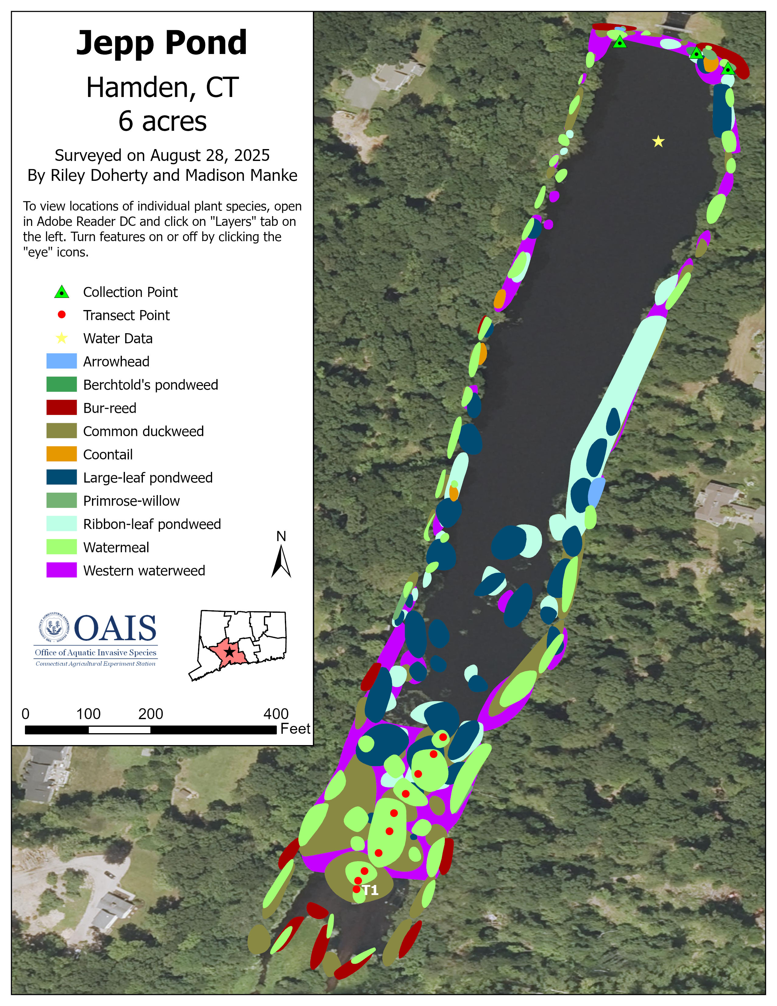 Map of the aquatic vegetation documented in Jepp Pond during the 2025 survey.