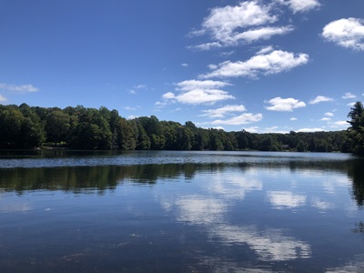 Photo of Laurel Lake from 2022 survey