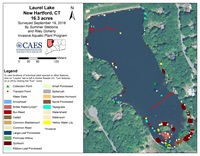Map of Laurel Lake, New Hartford 2018