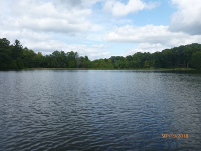 Laurel Lake in New Hartford 2018