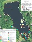 2022 aquatic survey map of Laurel Lake.