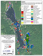 Aquatic plant survey map of Long and Bush Ponds in North Stonington