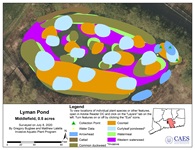 2020 aquatic plant survey map of Lyman Pond