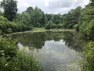 Lyman Pond in Middlefield, CT