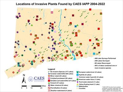 Locations of invasive aquatic plants found by CAES IAPP from 2004-2020