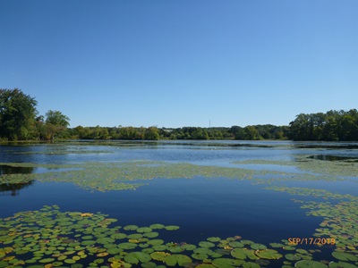 Mitchell Pond in Salem, CT 2019