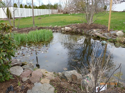 a private pond in Rocky Hill