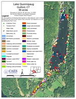 2020 aquatic plant survey map of Lake Quonnipaug in Guilford, CT