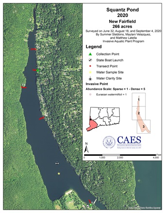 Invasive aquatic plant survey map of Squantz Pond in New Fairfield, CT