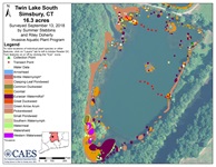Survey map of Twin Lake South in Simsbury, 2018