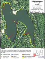 2019 Aquatic Plant Survey Map of Lake Waubeeka, Danbury