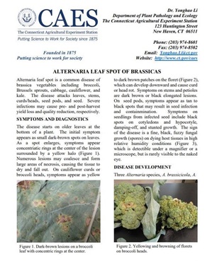 the first page of the fact sheet Alternaria leaf spot of brassicas