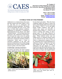 the first page of strawberry anthracnose fact sheet