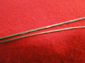 rust disease on ornamental grass stem with brown spots and pustules