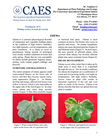 the first page of edema fact sheet