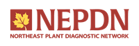 the logo and link of the northeast plant diagnostic network