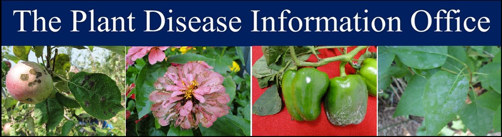 Plant Disease Information Office Logo