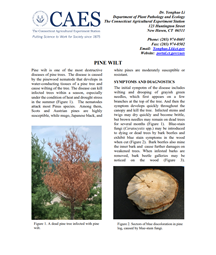 the firs pages of pine wilt fact sheet