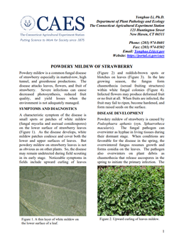 the first page of strawberry powdery mildew fact sheet