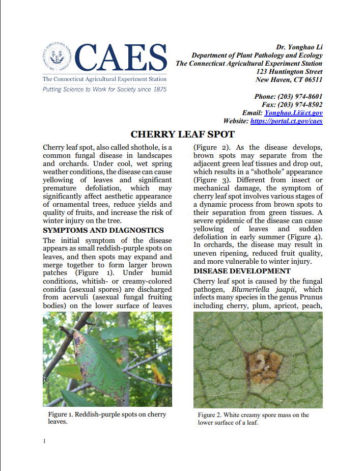 Screenshot of cherry leaf spot fact sheet