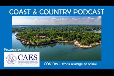 The background image for the Coast & Country podcast, an aerial photo of a coastline