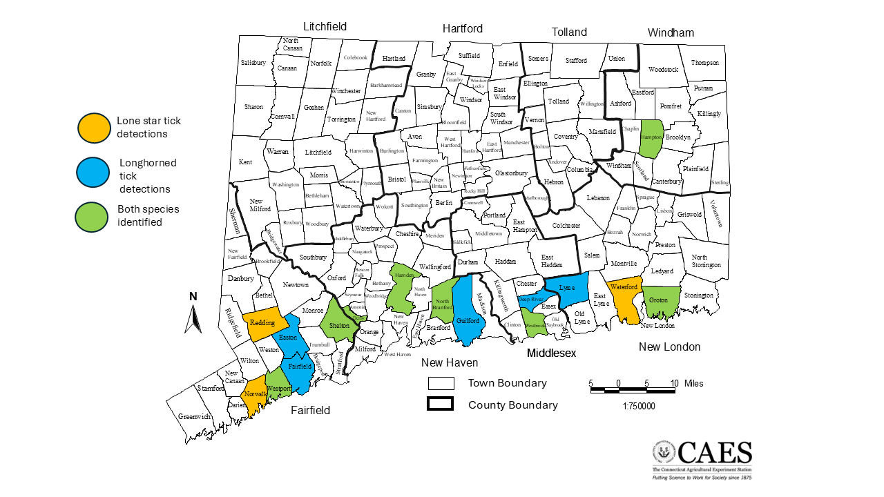 Map of Connecticut showing labeled towns and counties, with some towns color-coded to indicate tick species found: light orange for lone star ticks, blue for longhorned ticks, and green for both.
