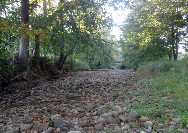 Dry_Streambed Weekeepeemee River