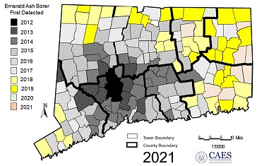 Map of Connecticut showing thr first detection of emerald ash borer.
