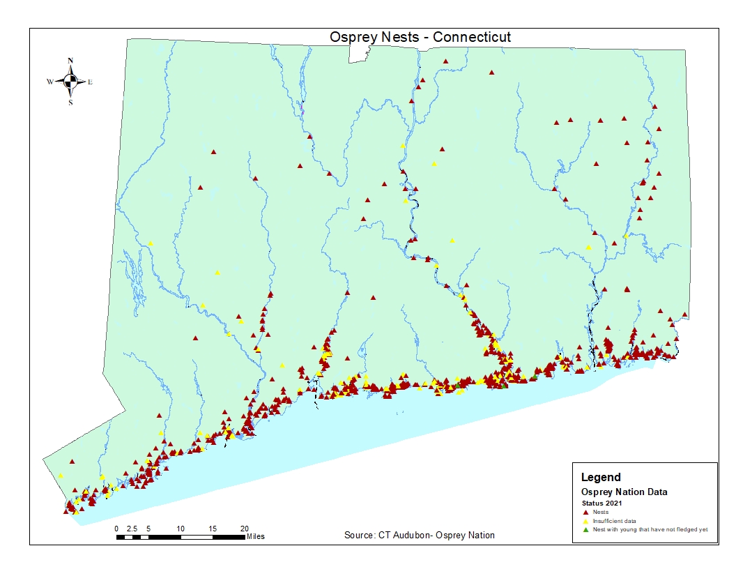 Osprey nesting sites in Connecticut