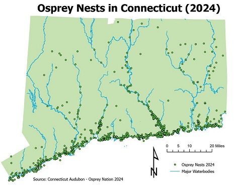 Osprey nests in Connecticut in 2024