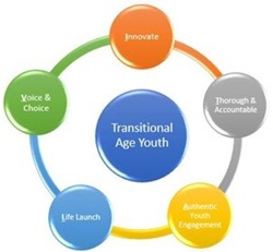 Graphic for Transitional Age Youth that outlines the VITAL approach: Voice and choice, Innovate, Thorough and accountable, Authentic youth engagement, and Life launch