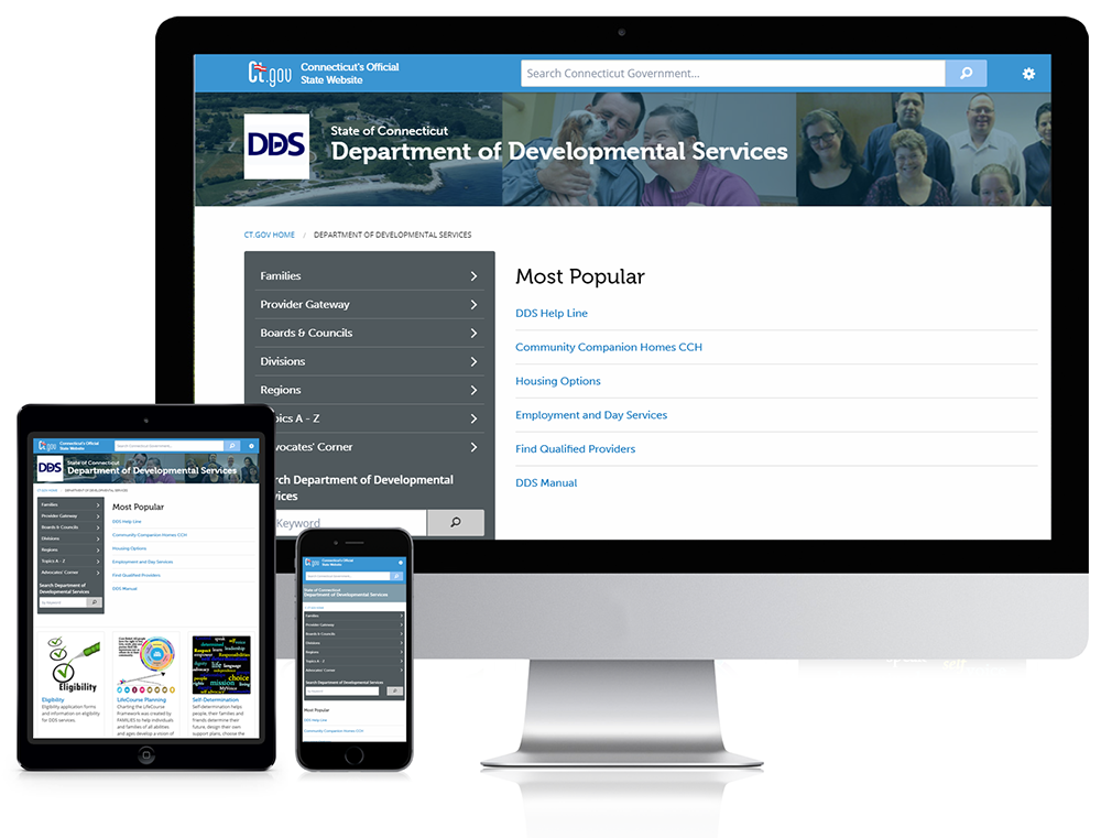 DDS Website Across Platforms