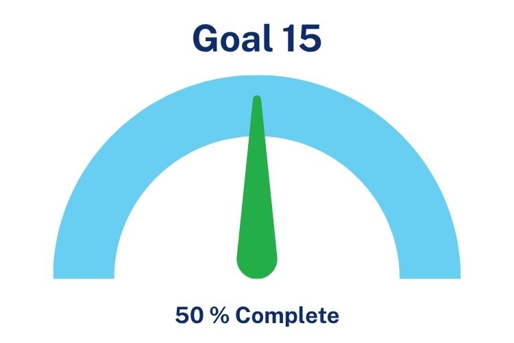 Goal 15 Q4 2025 Dial 50% Complete